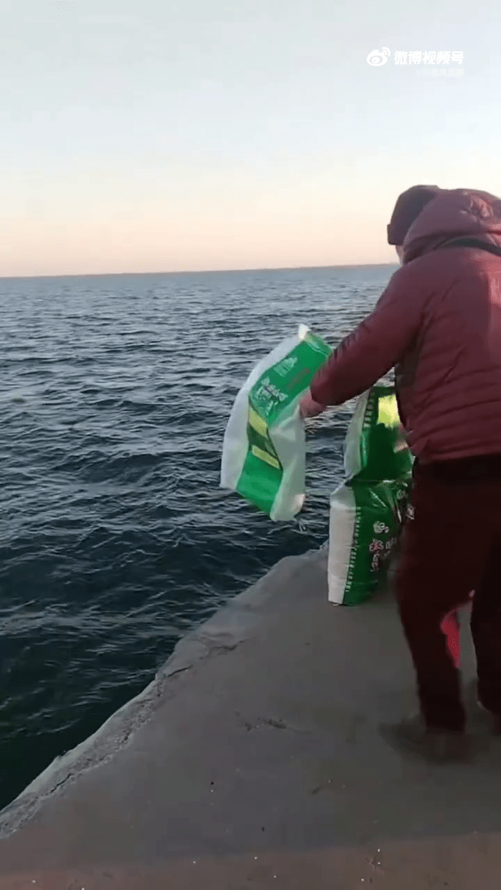 遼寧葫蘆島多人海邊「放生大米」。 遼寧葫蘆島多人海邊「放生大米」。