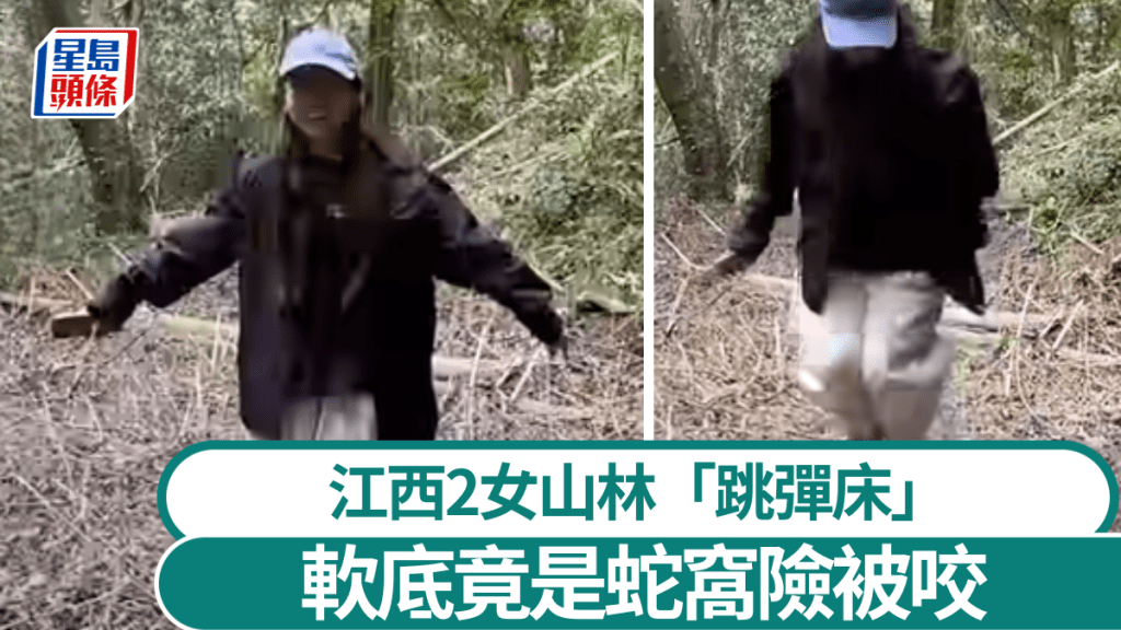 江西女子遠足發現「彈床」軟地竟是蛇窩。江北融媒