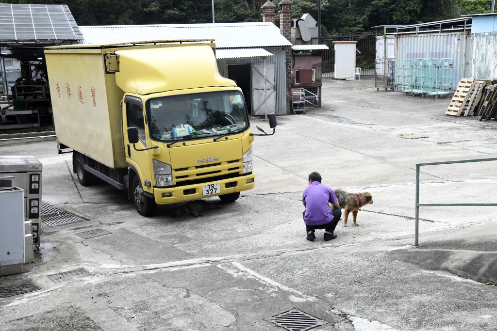 宝莲禅寺员工不时逗玩两犬。杨伟亨摄