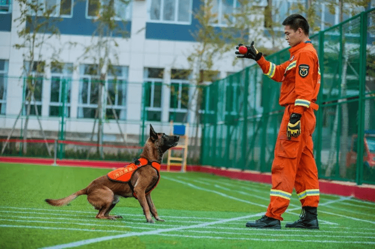 雲南消防搜救犬訓練基地。　雲南消防