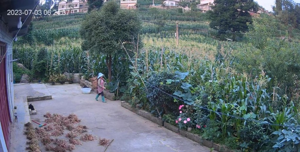 死者的最後身影。今日頭條 死者的最後身影。今日頭條