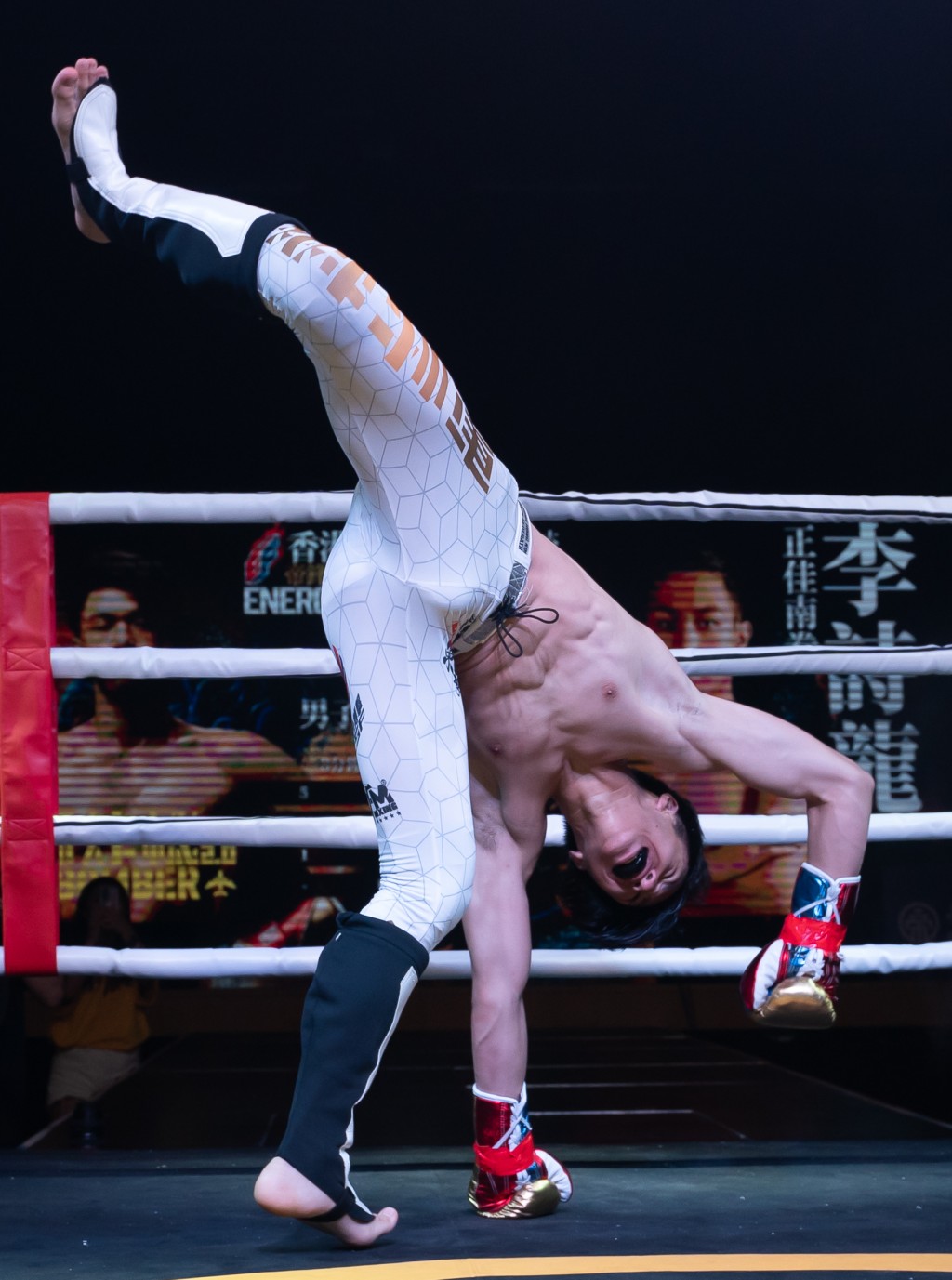 向籽羲在男子专业组65KG赛事以KO击败国内代表李诗龙。中国香港综合搏击总会图片