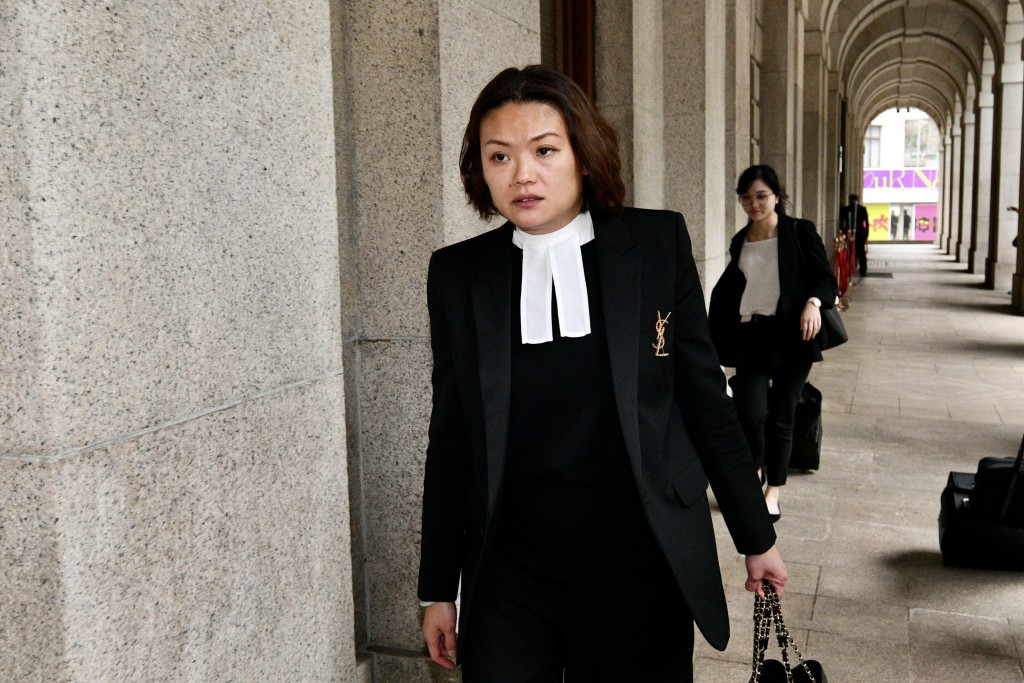 大律师林芷莹代表律政司提出上诉许可申请，遭终院驳回。卢江球摄