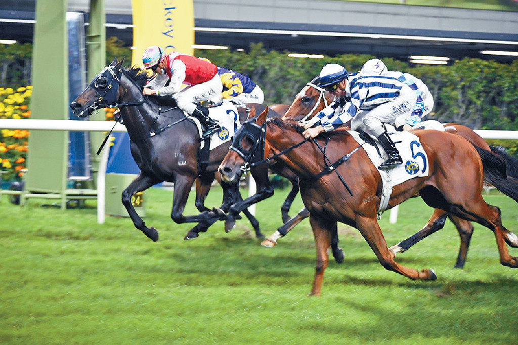 ■「四季醒」(外)昨晚大熱險勝開齋,並且捧盃。