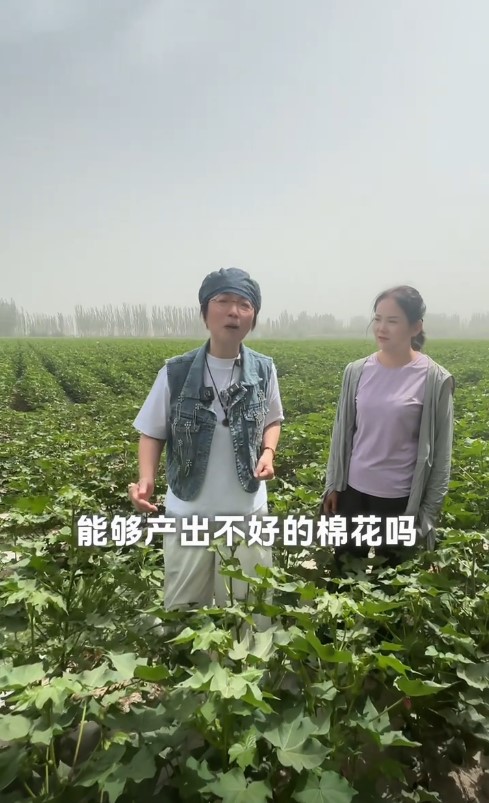 苑瓊丹指有靚地,當然可種出品質絕佳的新疆棉。 苑瓊丹指有靚地,當然可種出品質絕佳的新疆棉。