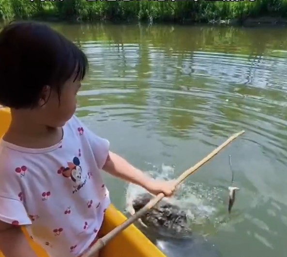 女童手持長桿伸入湖水要釣鱷魚。