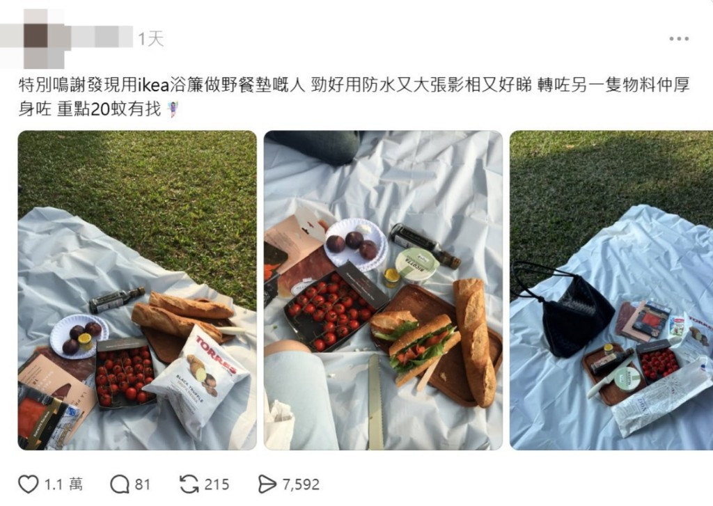IKEA浴帘只需$19.9,近日被网民发掘了「神级用法」 ,就是当野餐垫!(图片来源:Threads截图) IKEA浴帘只需$19.9,近日被网民发掘了「神级用法」 ,就是当野餐垫!(图片来源:Threads截图)