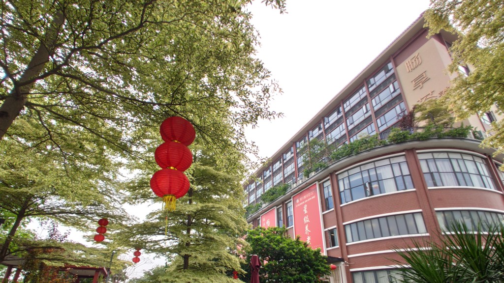 社署今日再公布多4間「廣東院舍照顧服務計劃」認可服務機構。資料圖片