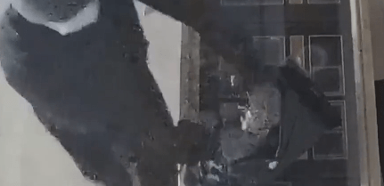 畢某撬開大門行竊。央視新聞