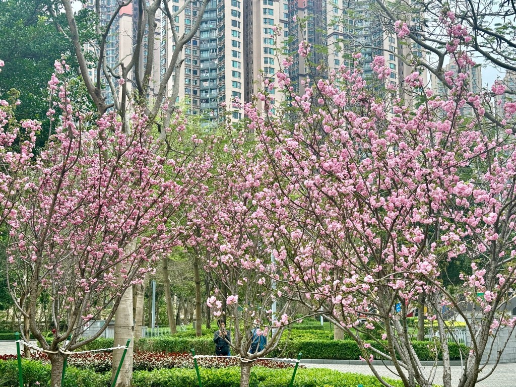 地点：香港单车馆公园位于将军澳宝康路105-107号