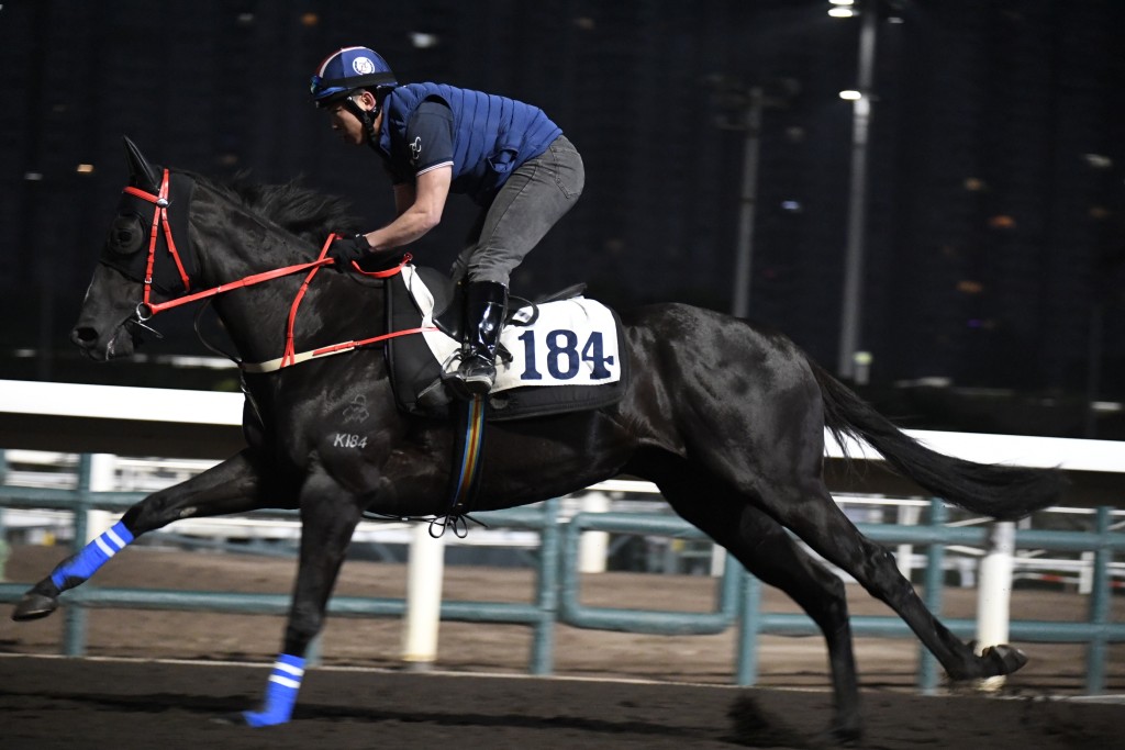 「紅衣醒目」(圖) 今次是信心之選，一來新勝猶勇氣勢如虹；二來今朝出跳，不論課前課後全哥都跟到實，錫到佢燶。