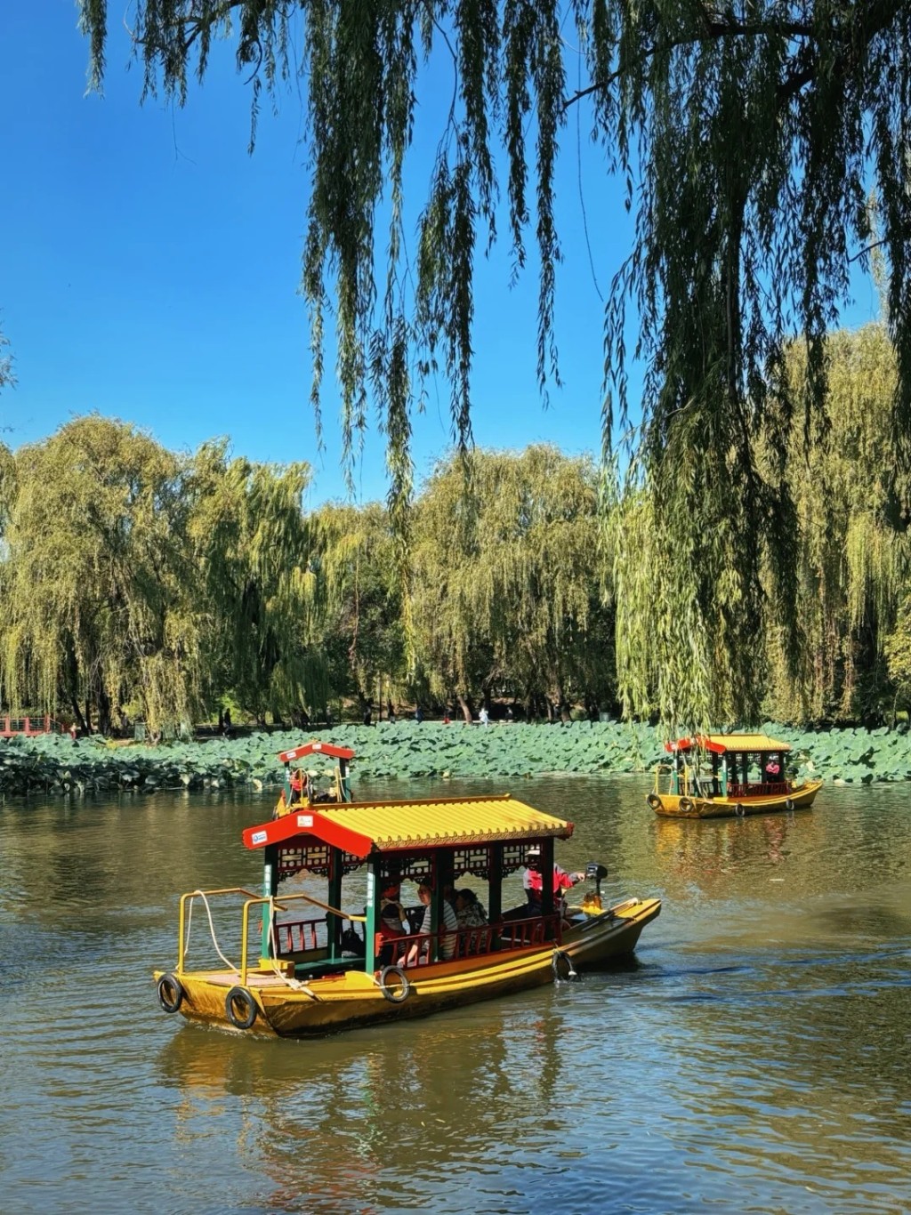 圆明园是北京著名景点。小红书