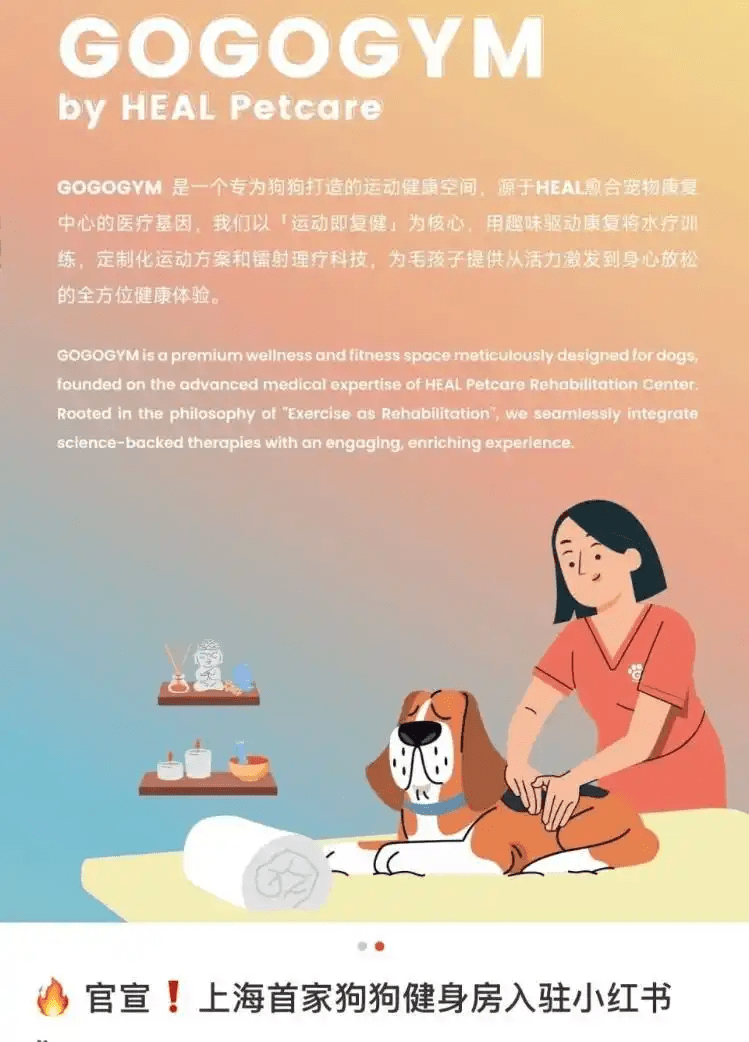 小紅書聯合GOGOGYM開展活動。 小紅書聯合GOGOGYM開展活動。
