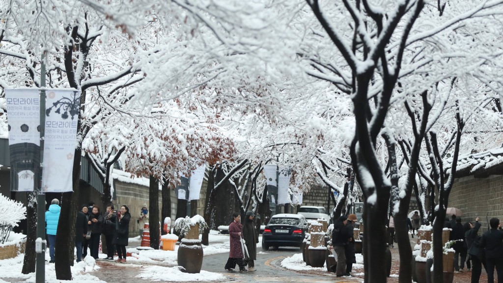 首爾連續2日暴雪，市中心變成白色世界。 新華社