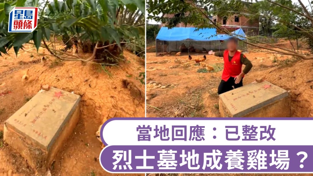 湖南永州一烈士墓地成了養雞場?