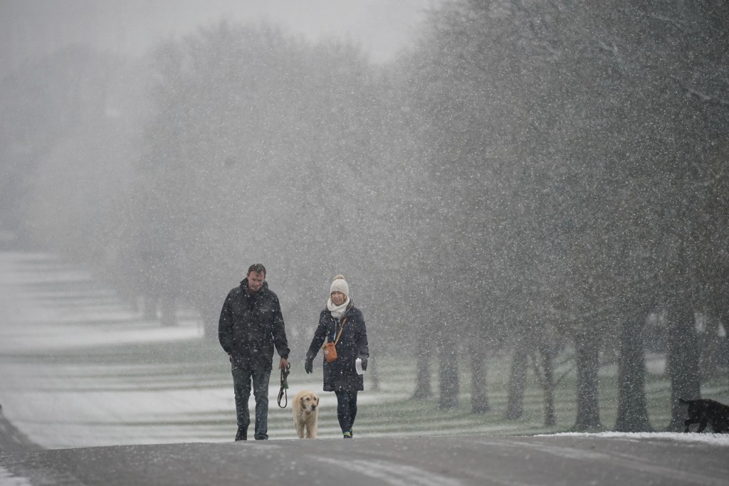 人们在伯克郡温莎城堡的 Long Walk 沿著雪地遛狗。AP