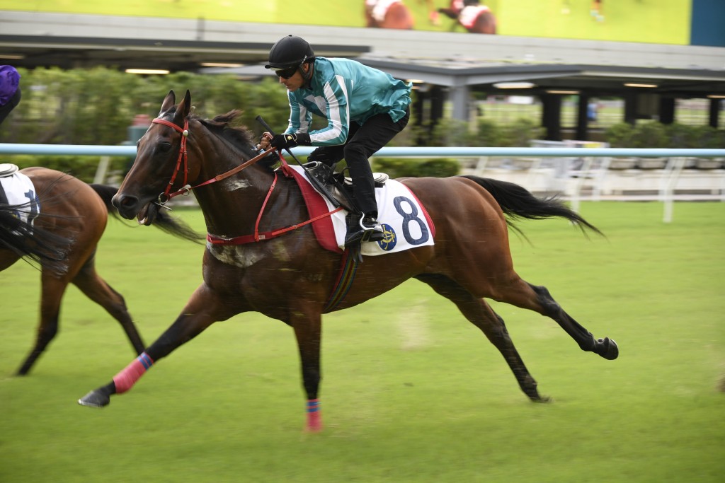 「浪漫勇士」目前保持歷來全球贏得最多獎金賽駒的紀錄（二億一千四百七十萬港元），至今已十度在一級賽中稱王，與「金鎗六十」同為歷來勝出最多一級賽的香港賽駒。