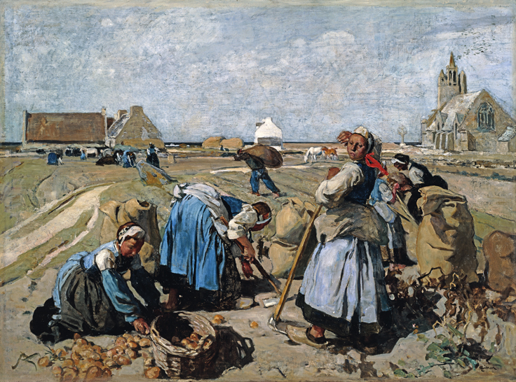 《Potato picking》  1907  Lucien Simon