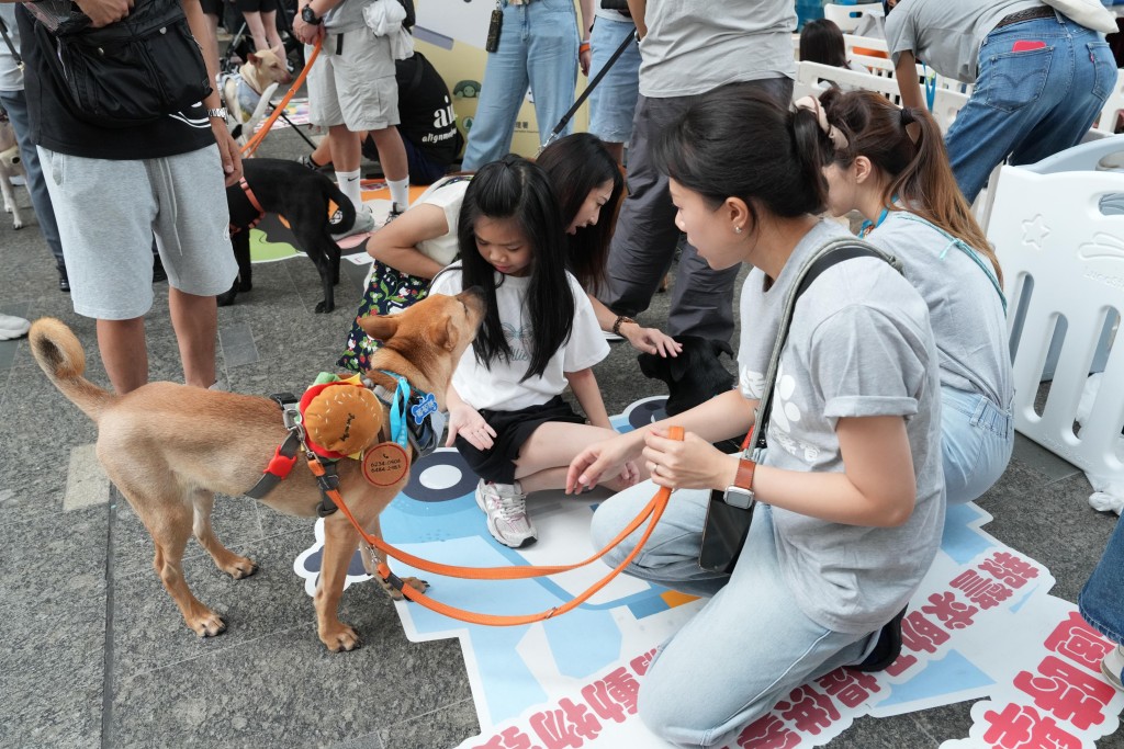 逾20家庭即場申請領養,流浪動物終獲新生。 逾20家庭即場申請領養,流浪動物終獲新生。