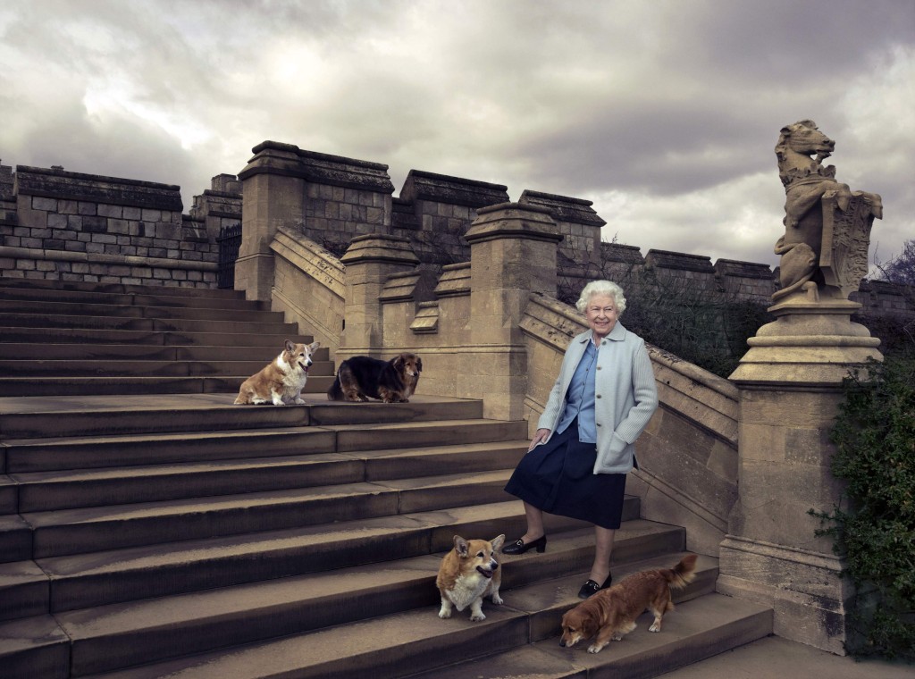 英女皇在九十岁生日，与爱犬一同合照。（图片源自美联社）
