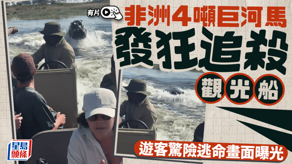 非洲4噸巨河馬發狂「追殺觀光船」，遊客驚險逃命畫面曝光。