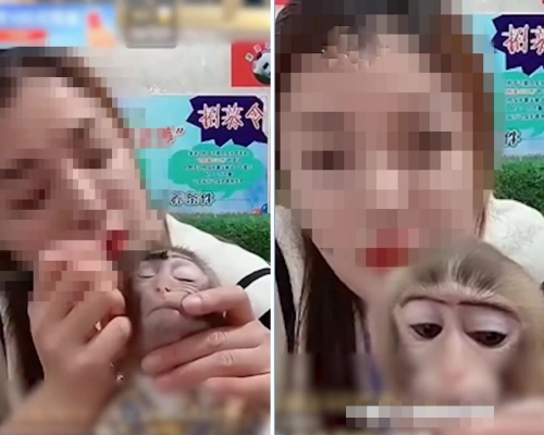 動物園女飼養員直播給猴子化妝,引發爭議。