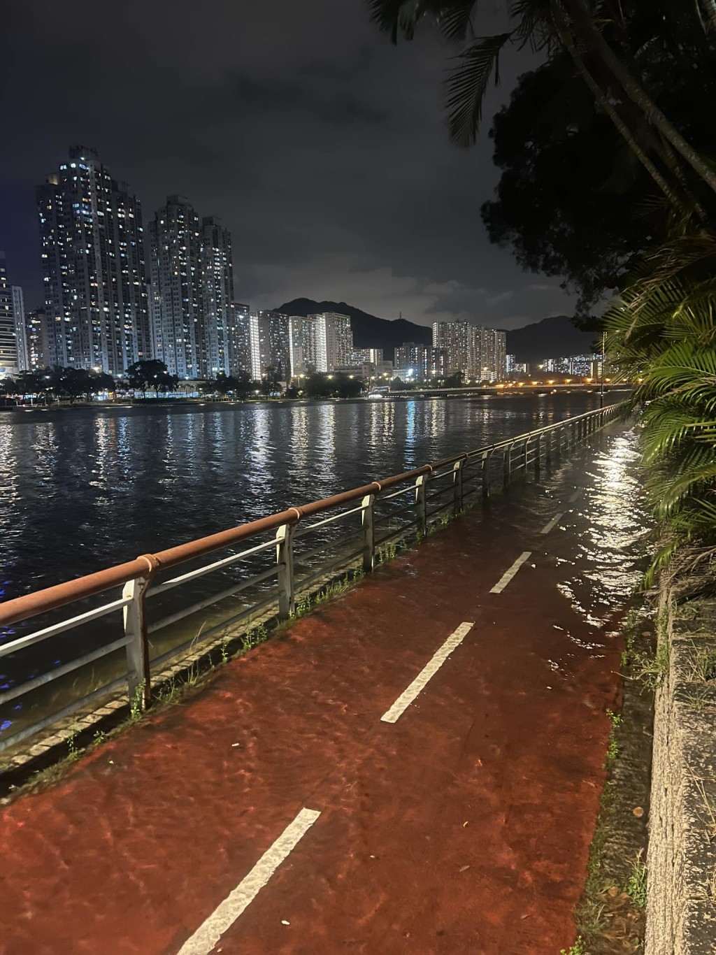 沙田城門河水位漫上河畔行人路及單車路。fb：Go Go Shatin