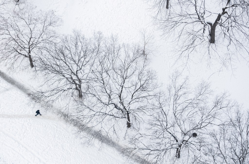 蒙特利爾白雪覆蓋的公園。AP