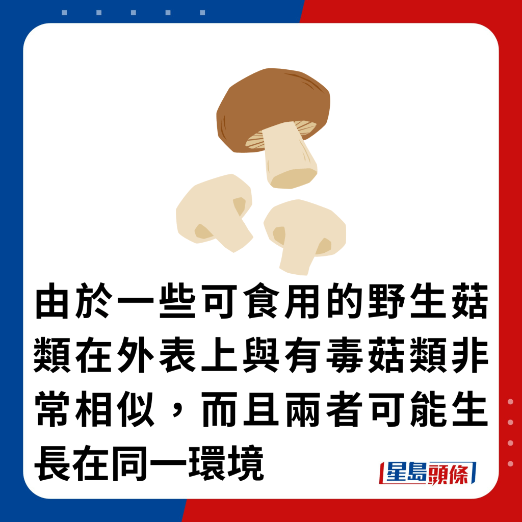 由於一些可食用的野生菇類在外表上與有毒菇類非常相似，而且兩者可能生長在同一環境