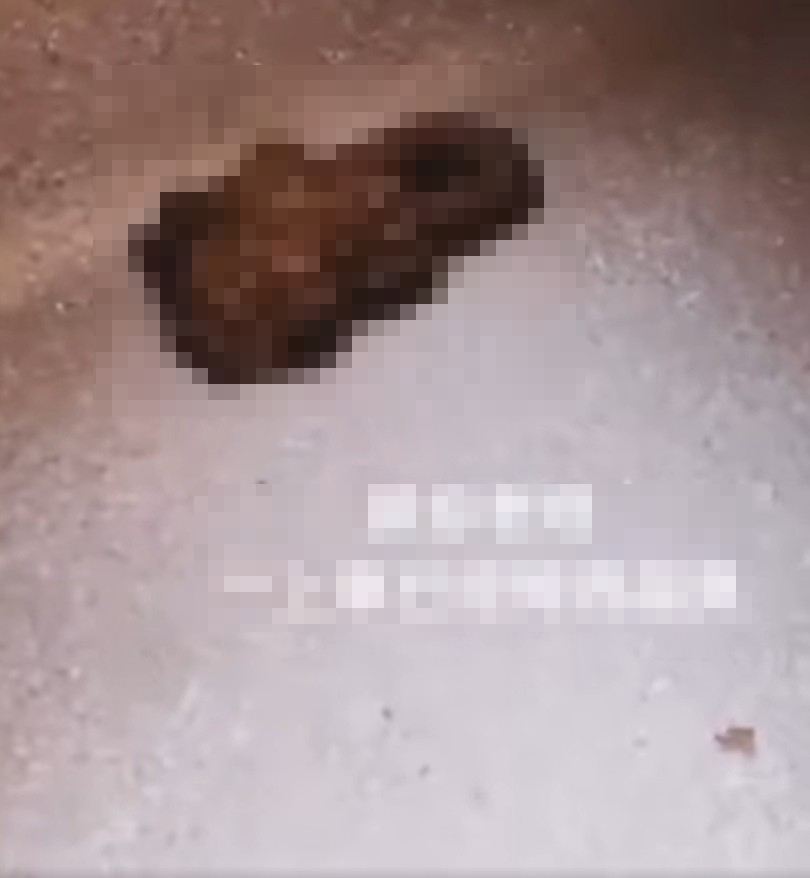 鏡頭開始拉近,車廂地上清楚看到一大坨糞。