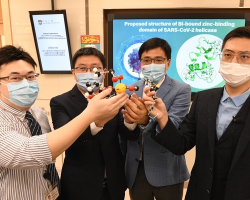 香港大學研究發現抗潰瘍藥物可以明顯抑制新冠病毒複製能力。   
