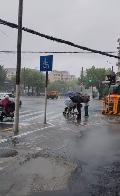 颱風「竹節草」吹襲上海，高速公路限速，渡輪停航，有3成航班延誤或取消。小紅書