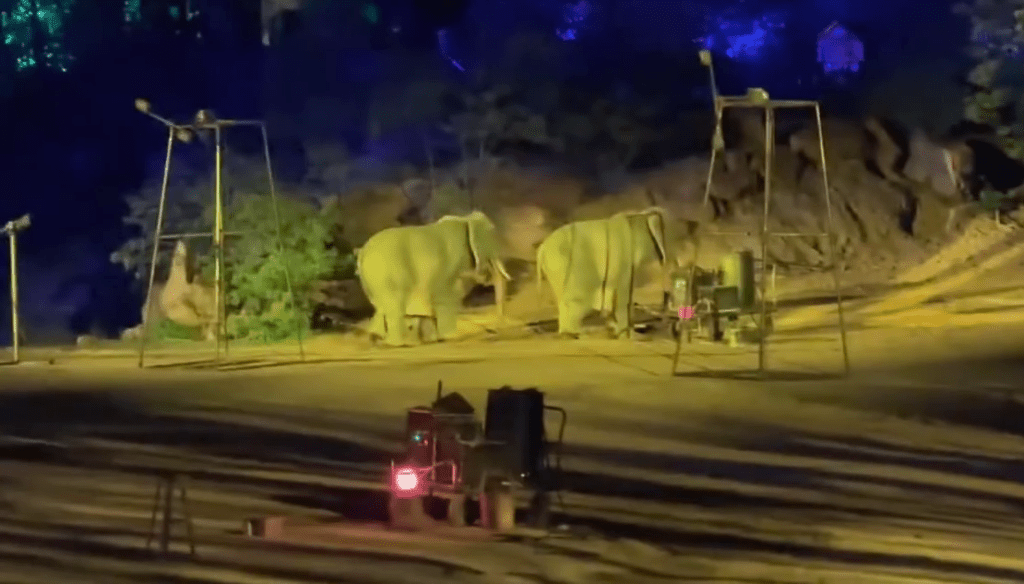 南萬歲山武俠城「打鐵花」表演中，兩隻登場的「大象」穿崩露人腳。 微博