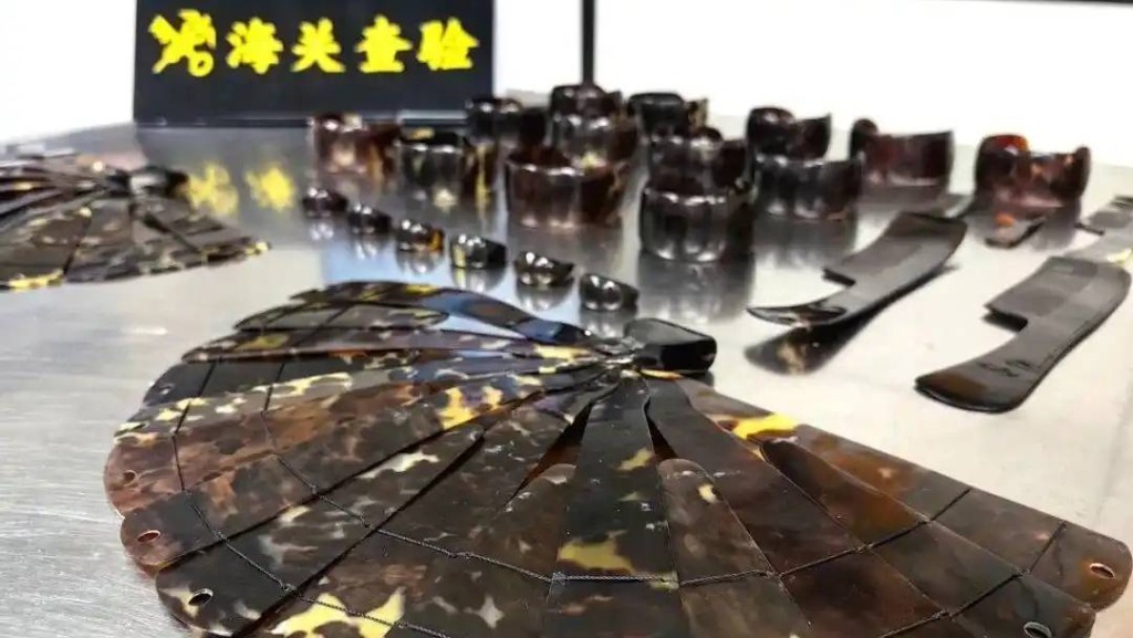 旅客攜26件瀕危玳瑁製品，被深圳灣海關截獲。
