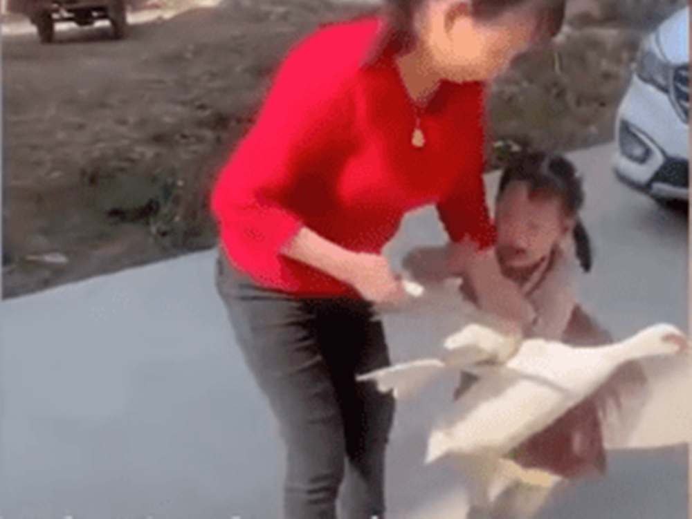 網上影片截圖