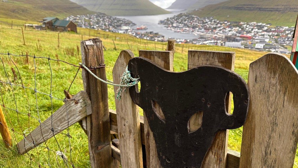 德国羊群夏季放牧吃草,冬季返回牧场过冬。 美联社 德国羊群夏季放牧吃草,冬季返回牧场过冬。 美联社