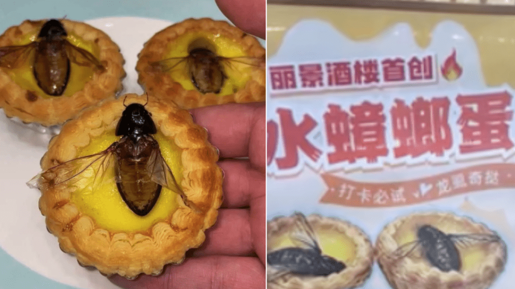 龙虱（又称水曱甴、水蟑螂、水鳖）属广东著名的特色传统昆虫美食，常见于珠三角地区，因高蛋白、低脂肪及独特鲜味被誉为「水中人参」。