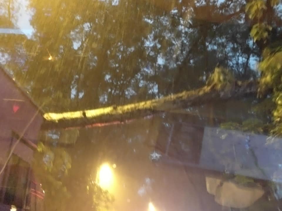 粉錦公路近榮昌茶座一棵大樹塌下。網民Philip Ch/ 上水人大聯盟fb群組