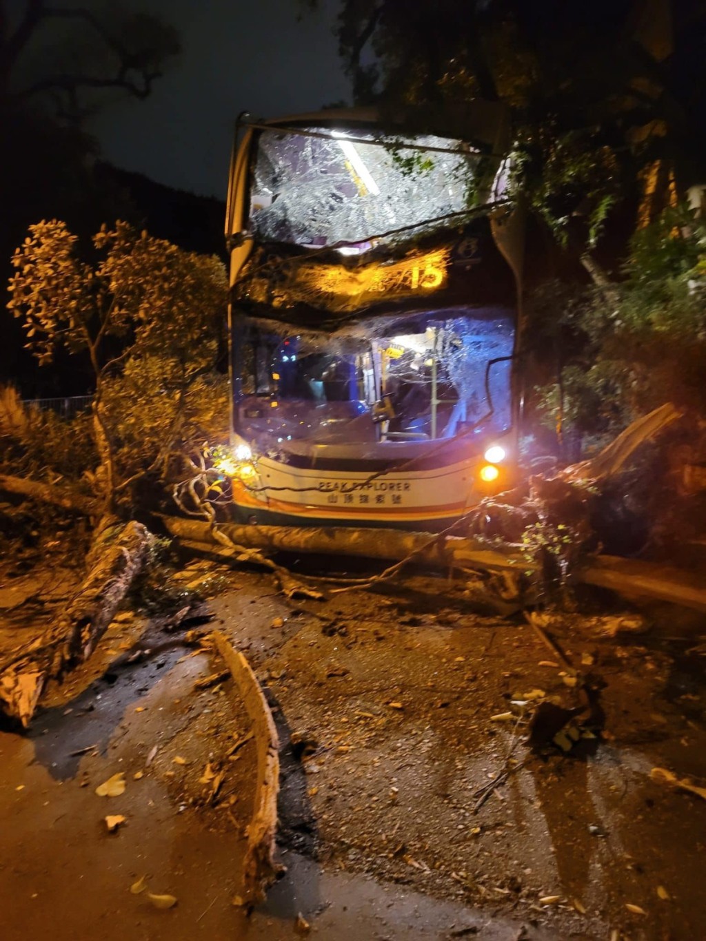 一辆15号新巴驶至山顶道92号对开时，被一棵塌下的大树压中。网上图片