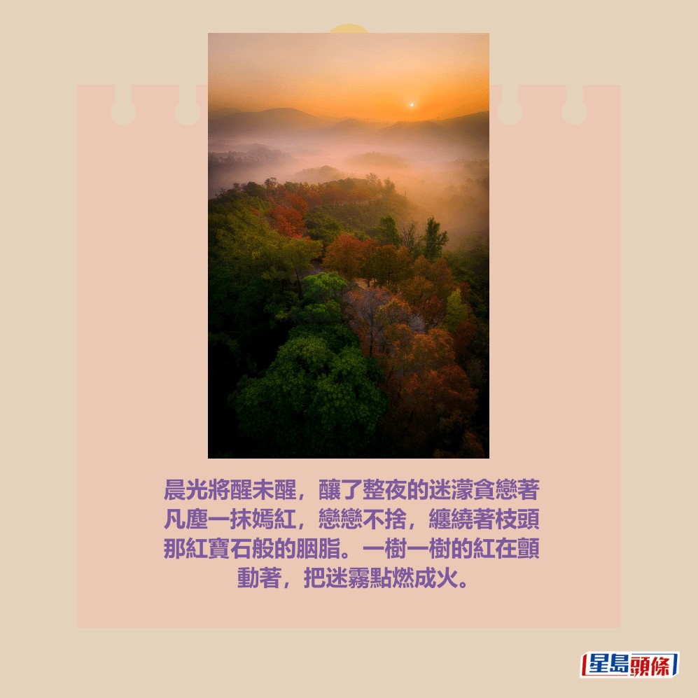 facebook截圖（資料來源：香港天文台HKO facebook專頁）（攝：苦明 / 2025年12月30日 / 大棠 / #CWOS）