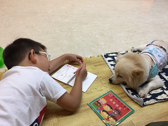 不同性格的治疗犬会在治疗师的带领下，负责进行各种类型活动，例如伴读计画、互动游戏、大型讲座等。