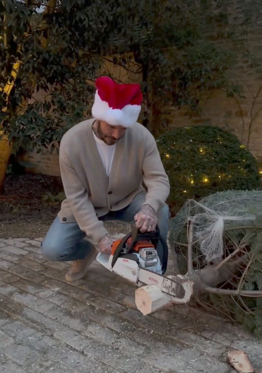 碧咸親力親為鋸聖誕樹,搬返屋企。 碧咸親力親為鋸聖誕樹,搬返屋企。