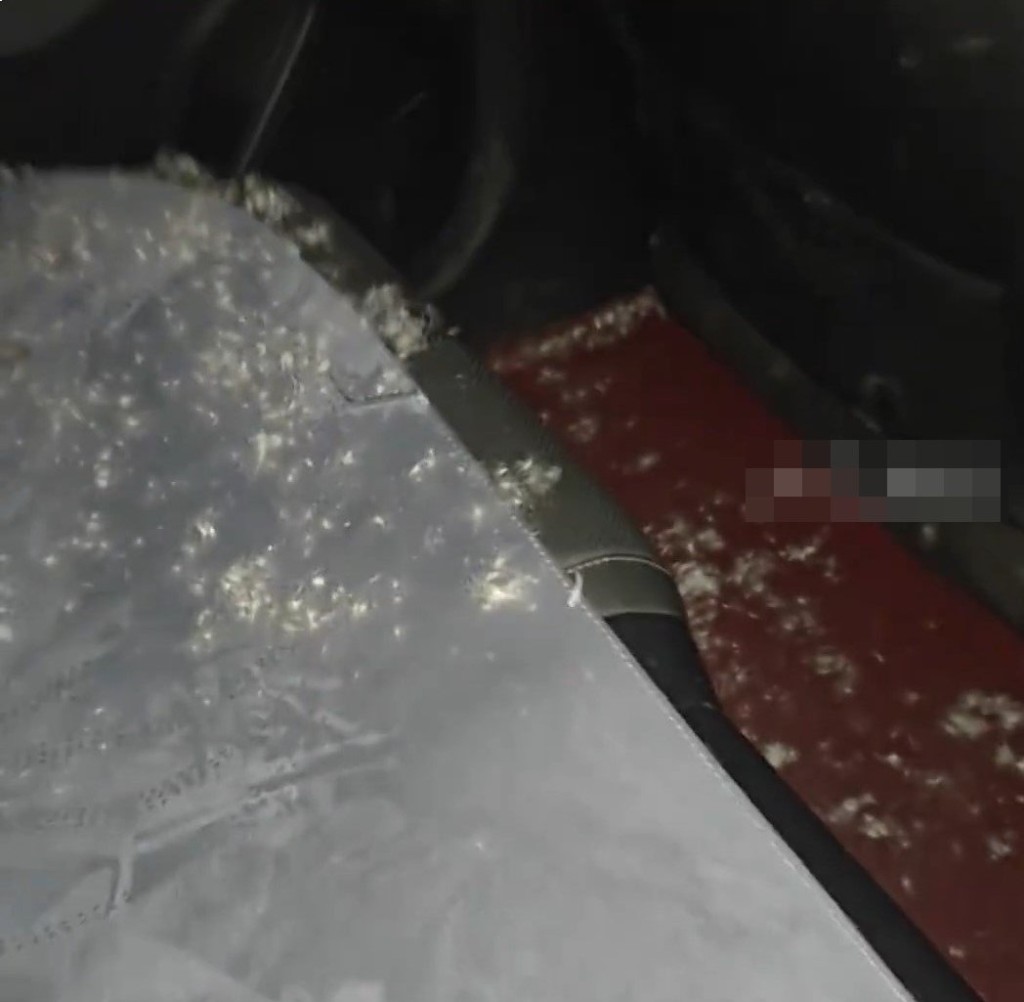 羽绒服「爆炸」后，车厢黏上无数羽绒。