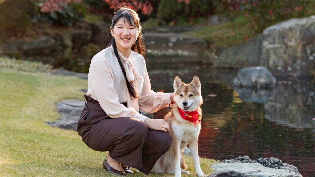 不少日本民眾期待愛子繼位成為女天皇。美聯社資料圖片