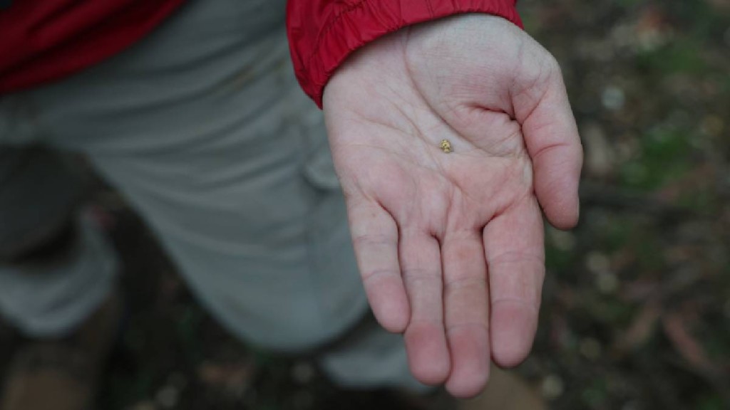 展示手上的小金塊。路透社
