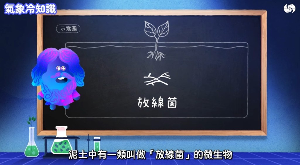 香港天文台《氣象冷知識》「汪汪夢裏聞:下雨的味道」截圖。 香港天文台《氣象冷知識》「汪汪夢裏聞:下雨的味道」截圖。