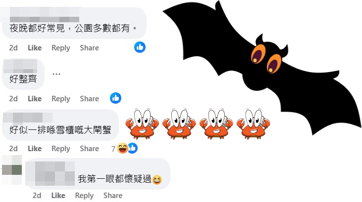 网民：好整齐。fb「香港自然生态论坛」截图