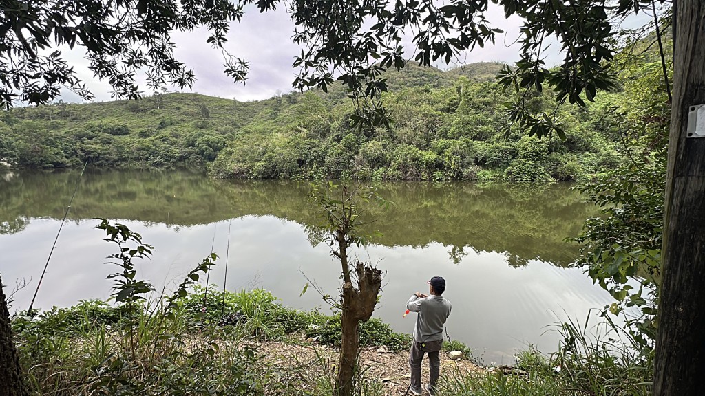 陳的狗隻曾在水塘附近遇害。劉漢權攝 陳的狗隻曾在水塘附近遇害。劉漢權攝