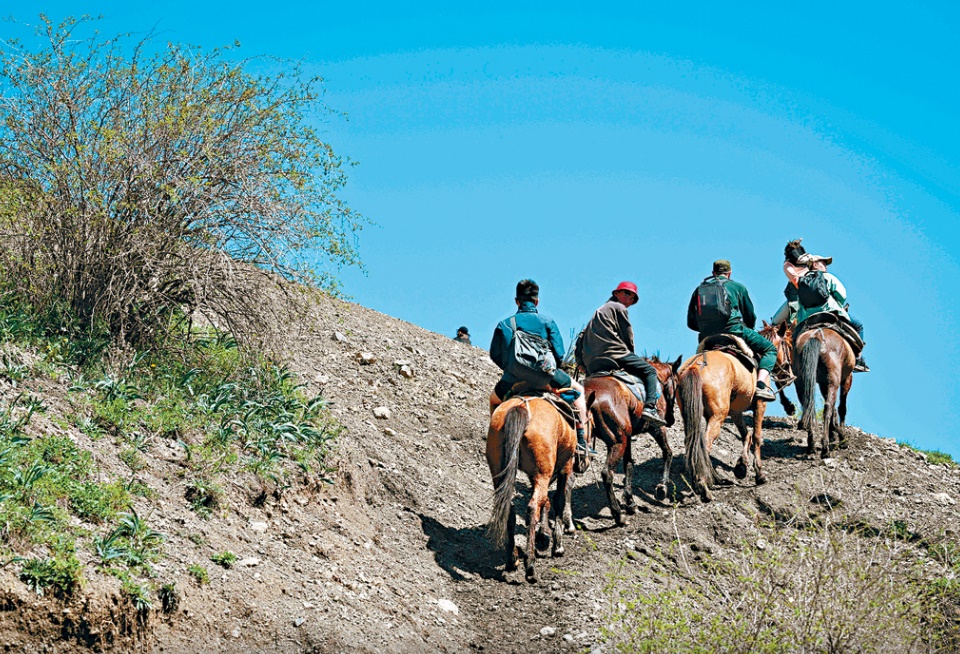 哈薩克居住着許多遊牧部落，自然景觀以大片的乾燥草原為主，不過經濟實力也不俗，近年城市人口有所上升。