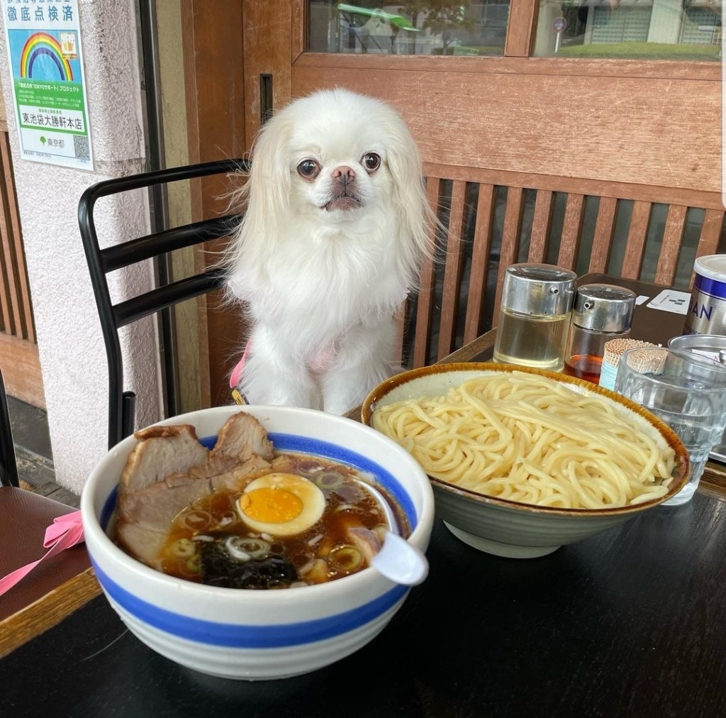  香睿剛推介日本好吃拉麵店｜1. 大勝軒沾麵　叉燒麵，分量十足。（IG@anyanpink）